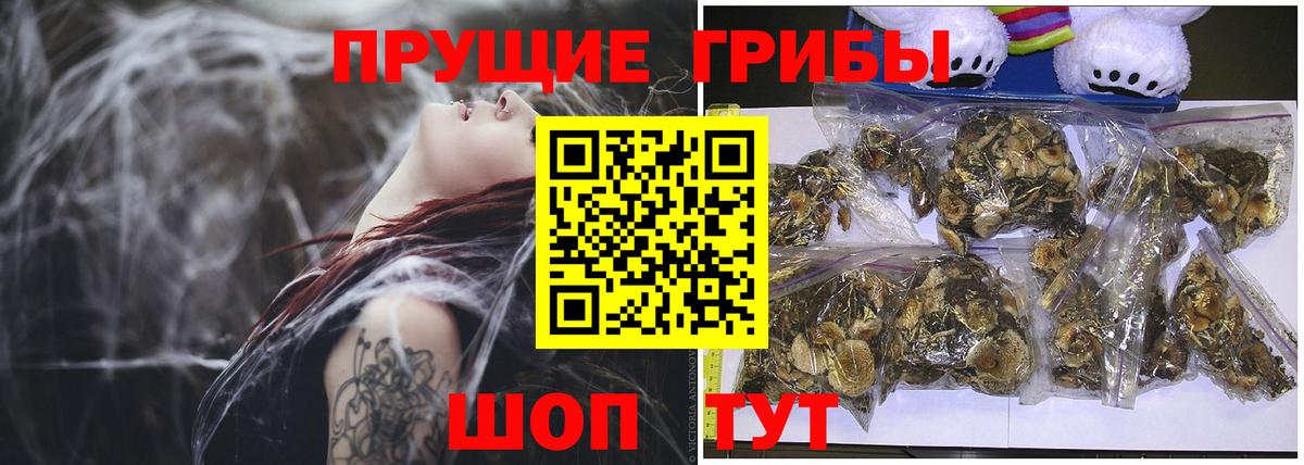 Галлюциногенные грибы прущие грибы Южно-Сахалинск