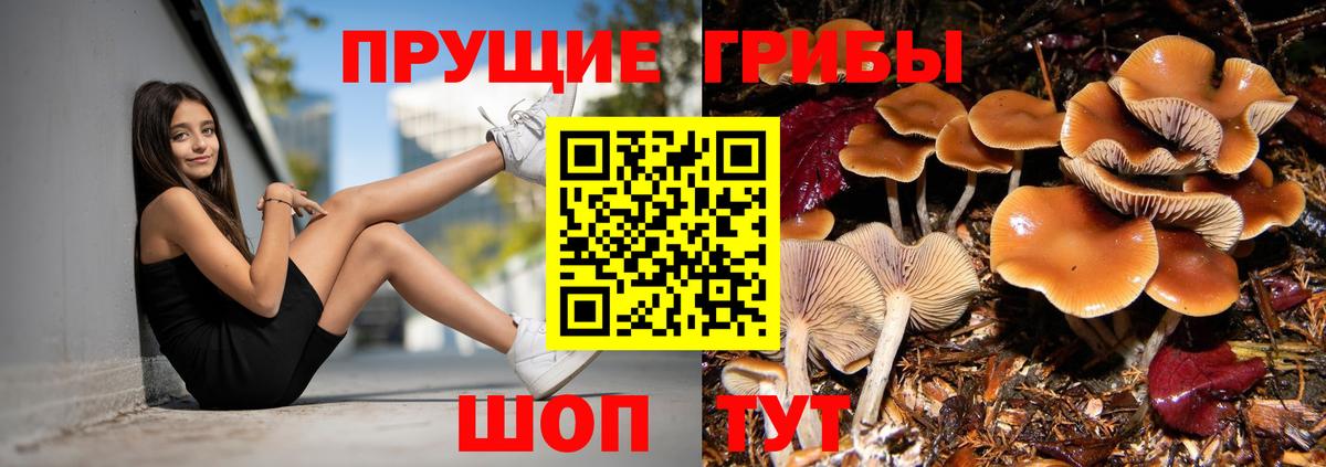 Галлюциногенные грибы Psilocybe  Вход с VPN  Псилоцибиновые грибы Cubensis  Южно-Сахалинск 